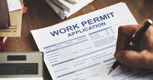 Navigating Temporary Work Permits: What You Need to Know